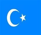 Doğu Türkistan Gulca Katliamı Protestosuna davet! VİDEO