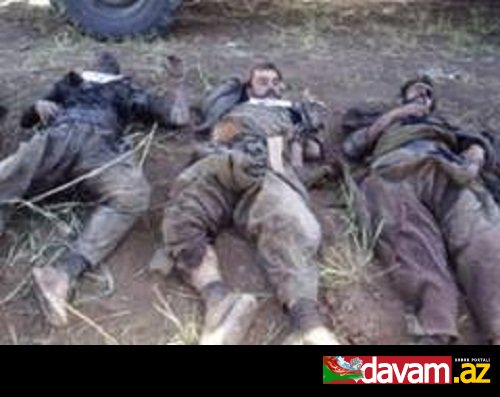 Türkiyənin cənub-şərqində 15 PKK terrorçusu məhv edilib