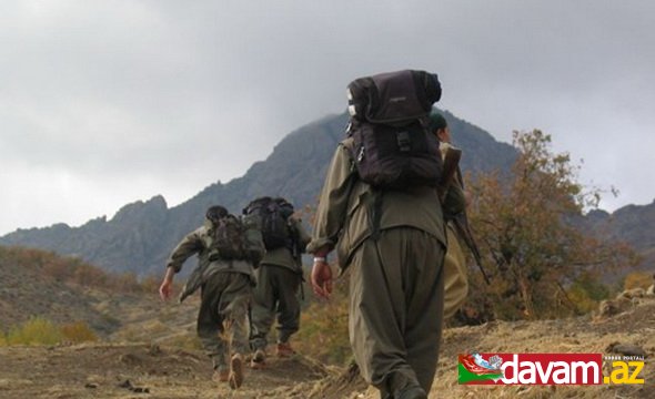 PKK terrorçuları hökumət rəsmisini oğurlayıb!