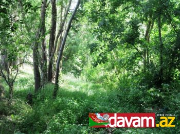 Güney Azərbaycanın dilbər güşələri silsiləsindən Zəncanın Bala şarşar şəlaləsi (Foto reportaj)