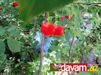 Güney Azərbaycanın dilbər güşələri silsiləsindən Zəncanın Bala şarşar şəlaləsi (Foto reportaj)