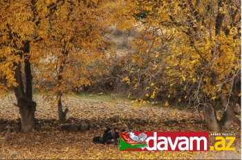 Güney Azərbaycanın Kəleybər bölgəsinin gözəl təbiətindən GÖRÜNTÜLƏR