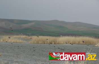 Sulduzun Ağ-Qala gölməçəsi GÖRÜNTÜLƏRDƏ