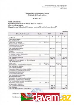 Milli Dirçəliş Hərəkatı Partiyasının 2019-cu il üçün MALİYYƏ HESABATI